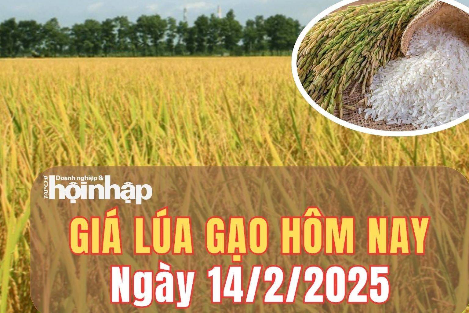 Giá lúa gạo hôm nay 14/2/2025: Giá lúa gạo duy trì đà giảm, trong khi giá các loại phụ phẩm tăng