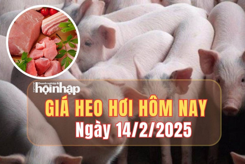 giá heo hơi giá heo hơi