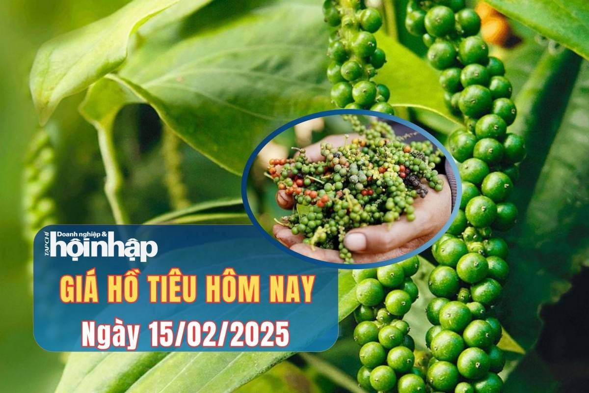 Giá tiêu hôm nay 14/2: Giá tiêu trong nước giảm hai phiên liên tiếp