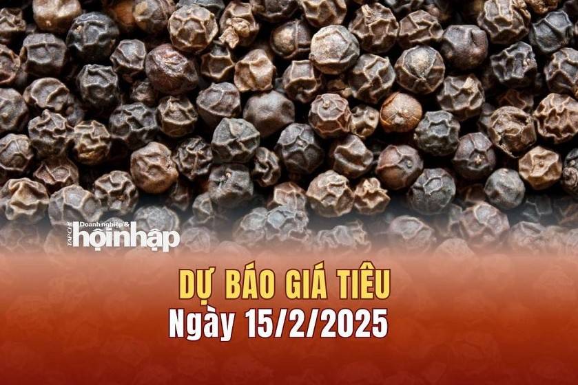 Dự báo giá tiêu 15/2: Giá tiêu trong nước tiếp đà giảm