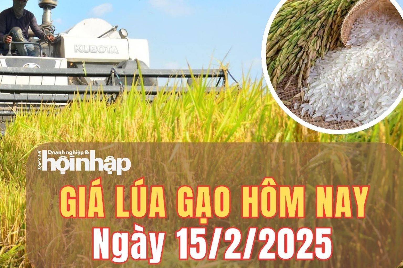 Giá lúa gạo hôm nay 15/2/2025: Giá gạo xuất khẩu giảm xuống mức thấp trong 2 năm