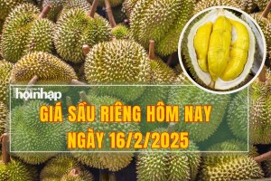 Giá sầu riêng hôm nay 16/2: Thị trường trong nước tiếp đà tăng nhẹ