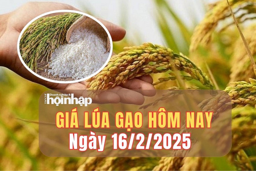 Giá lúa gạo hôm nay 16/2/2025: Giá lúa gạo ổn định phiên cuối tuần Giá lúa gạo hôm nay 16/2/2025: Giá lúa gạo ổn định phiên cuối tuần