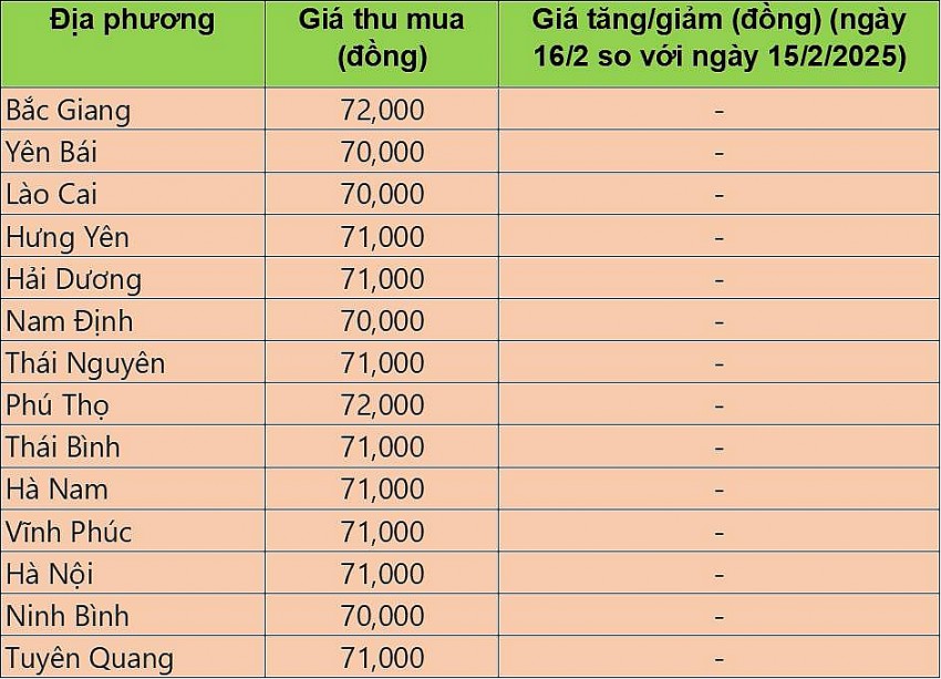 Bảng giá heo hơi tại miền Bắc hôm nay 16/2/2025. Bảng giá heo hơi tại miền Bắc hôm nay 16/2/2025.
