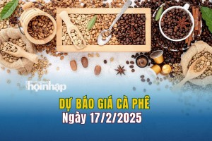 Dự báo giá cà phê 17/2: Giá cà phê trong nước giảm sốc