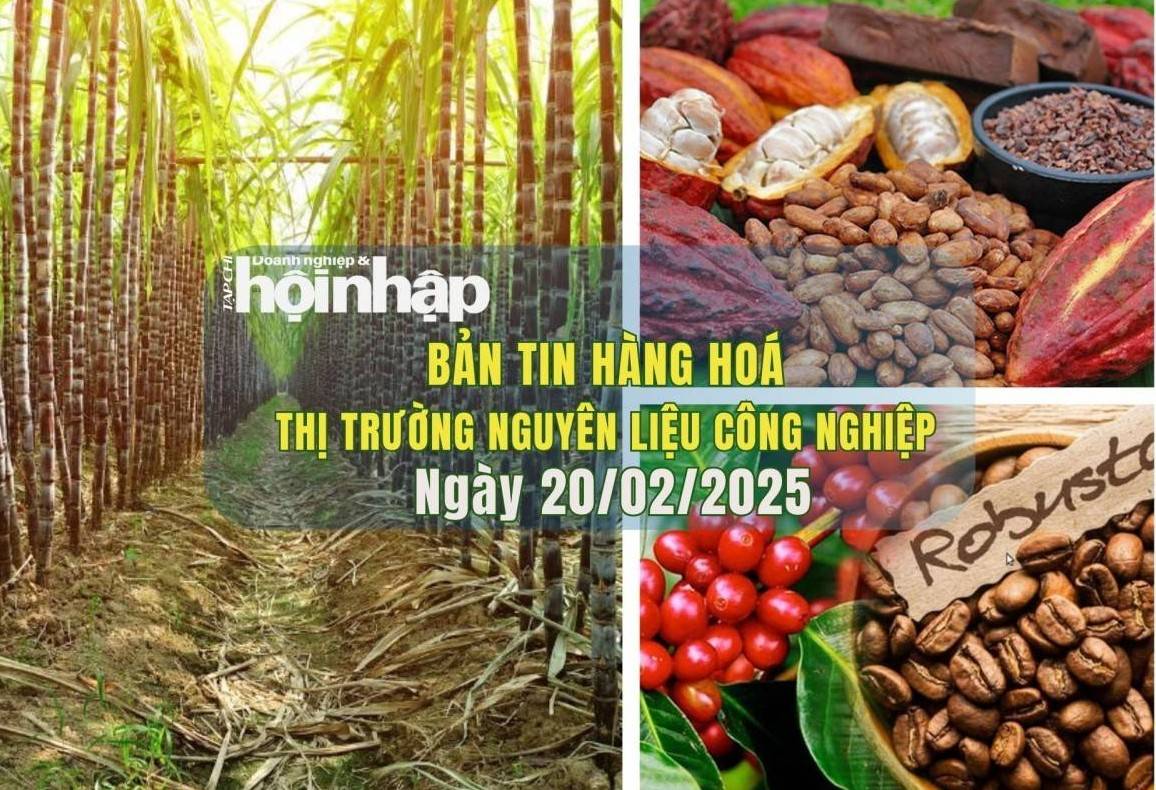 Thị trường nguyên liệu công nghiệp 20/2: Giá cà phê và đường tăng, ca cao giảm