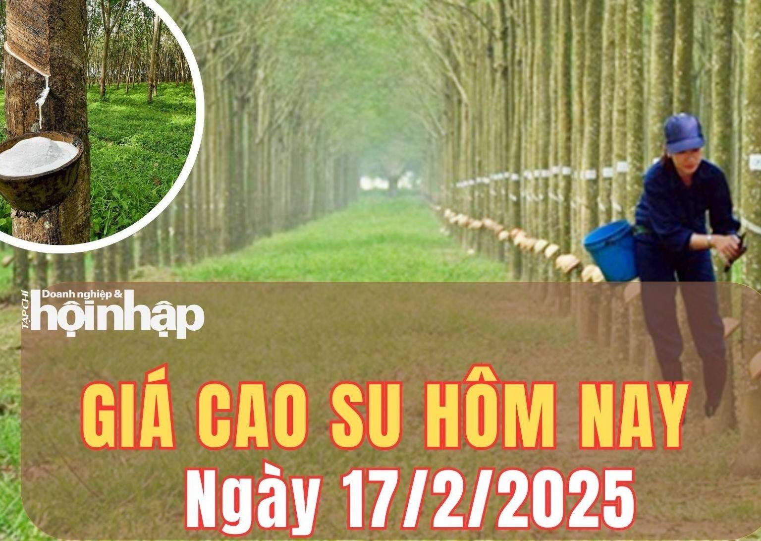 Giá cao su hôm nay 17/2/2025: Giá cao su tại sàn Tocom - Tokyo điều chỉnh trái chiều dưới 1%