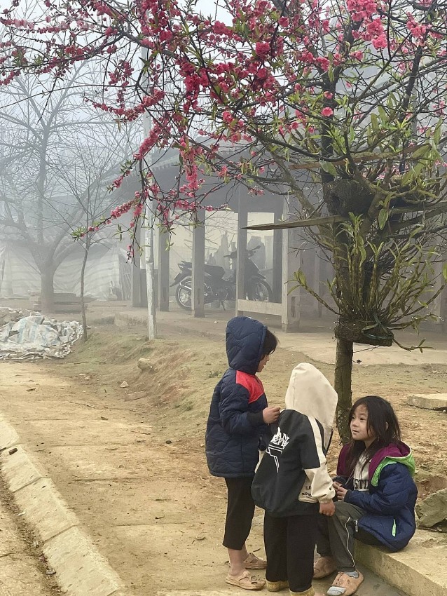 Trạm Tấu vươn mình 