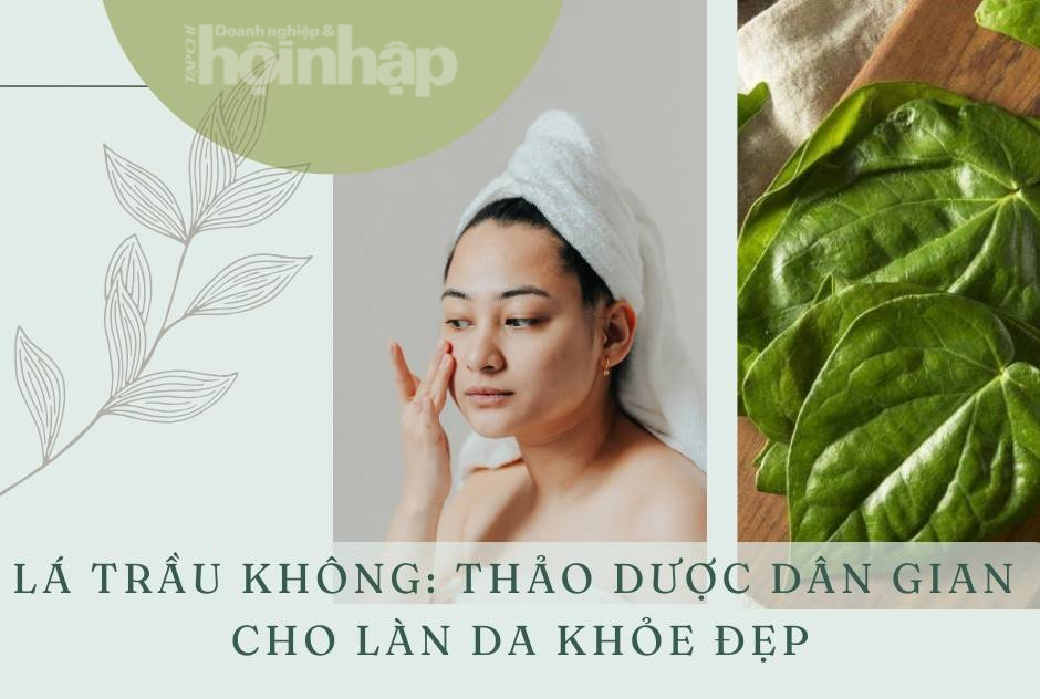 Lá trầu không: Thảo dược dân gian cho làn da khỏe đẹp