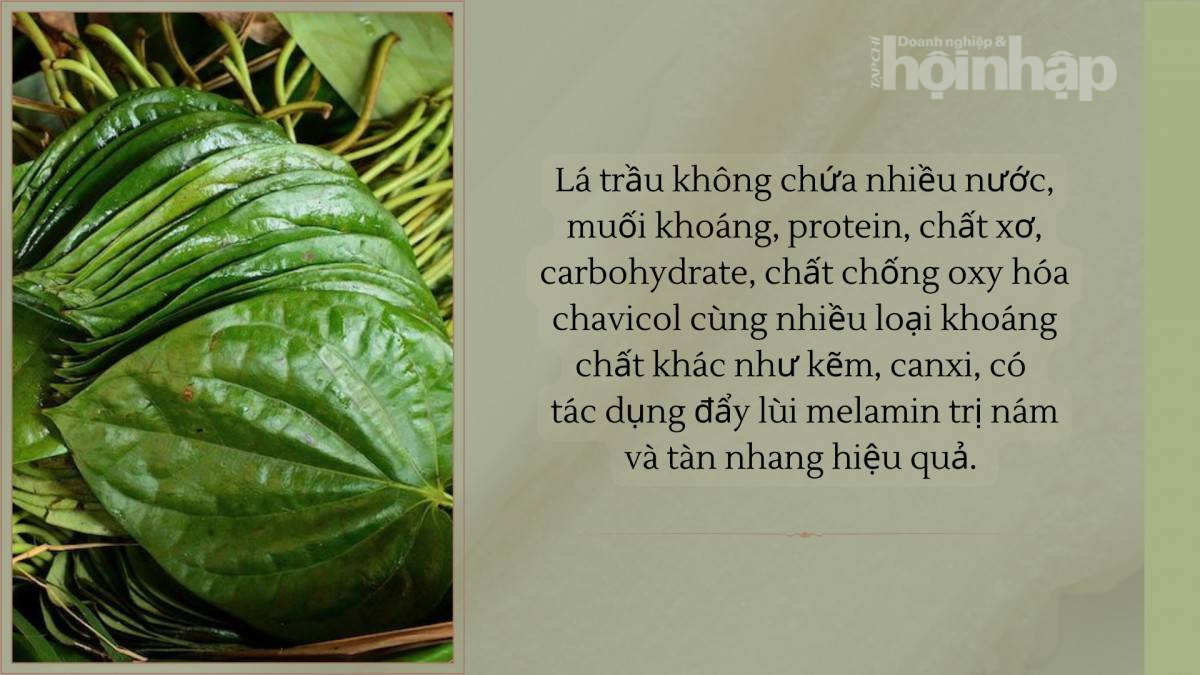 Lá trầu không: Thảo dược dân gian cho làn da khỏe đẹp
