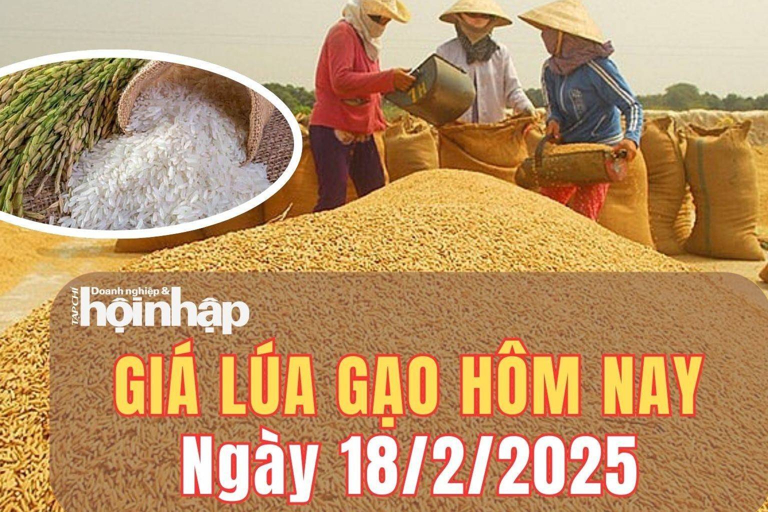 Giá lúa gạo hôm nay 18/2/2025: Giá lúa gạo tăng từ 100 - 200 đồng/kg