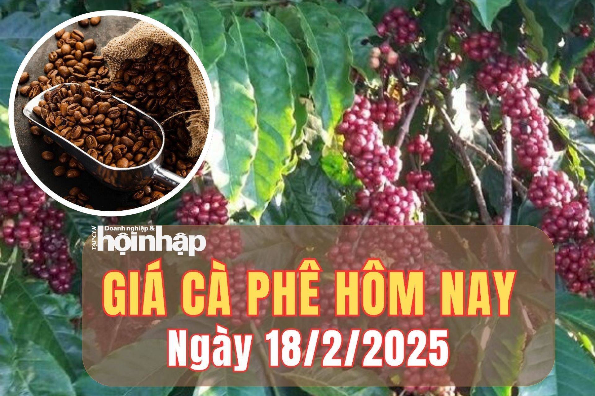 Giá cà phê hôm nay 18/2/2025: Giá cà phê trong nước tăng từ 800 - 1.000 đồng/kg