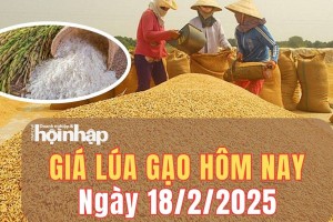 Giá lúa gạo hôm nay 18/2/2025: Giá lúa gạo tăng từ 100 - 200 đồng/kg