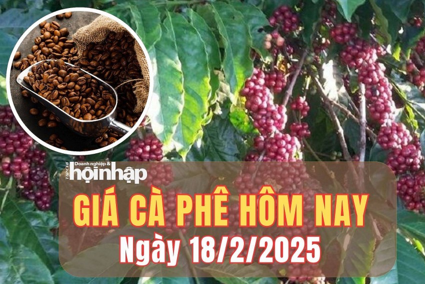 Giá cà phê hôm nay 18/2/2025: Giá cà phê trong nước tăng từ 800 - 1.000 đồng/kg Giá cà phê hôm nay 18/2/2025: Giá cà phê trong nước tăng từ 800 - 1.000 đồng/kg