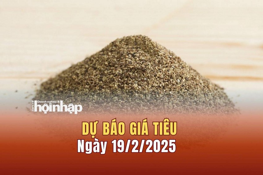Dự báo giá tiêu 19/2/2025