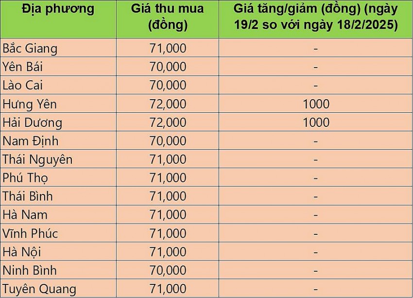 giá heo hơi giá heo hơi