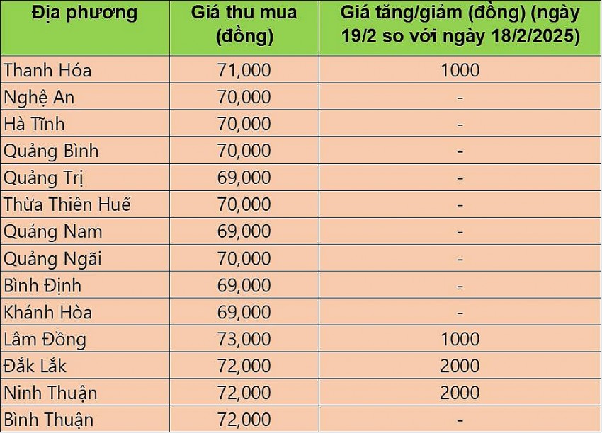 giá heo hơi giá heo hơi