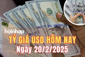 Tỷ giá USD hôm nay 20/2/2025: Đồng USD giữ vững đà tăng