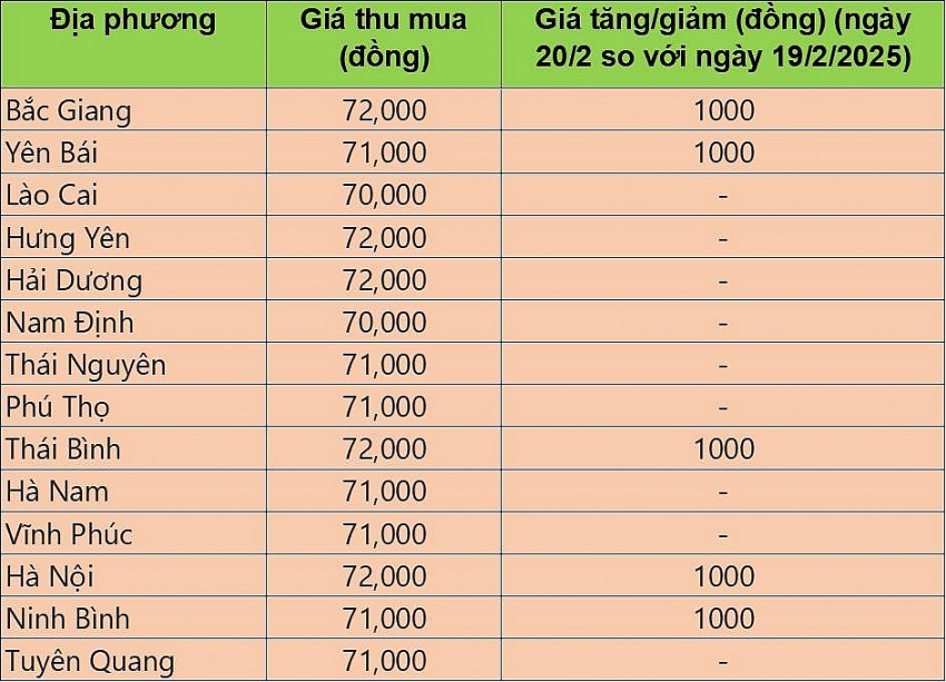 giá heo hơi giá heo hơi