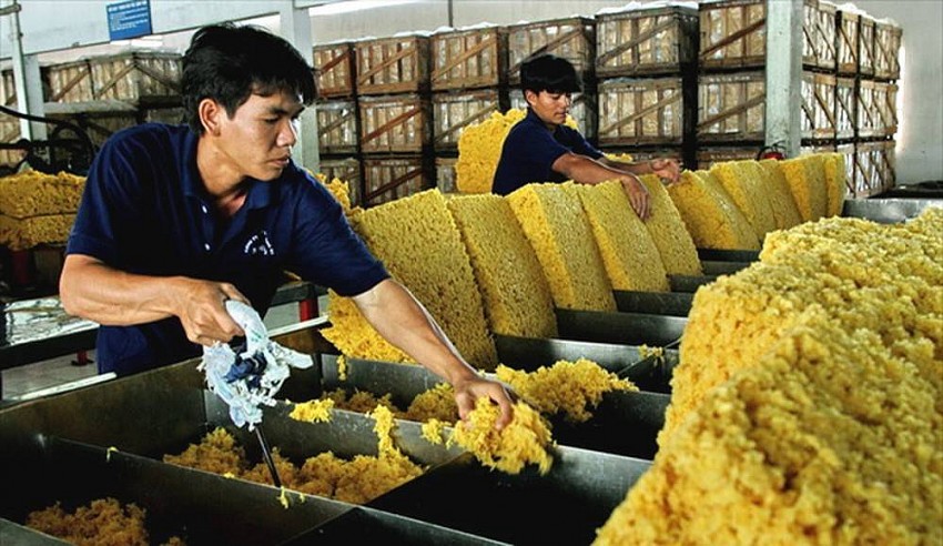 Dự báo, kim ngạch xuất khẩu toàn ngành sẽ đạt trên 11 tỉ USD