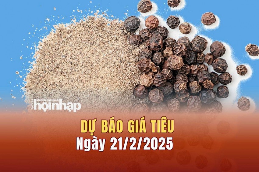 Dự báo giá tiêu 21/2/2025
