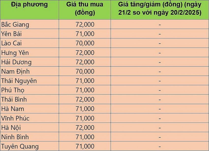 giá heo hơi giá heo hơi