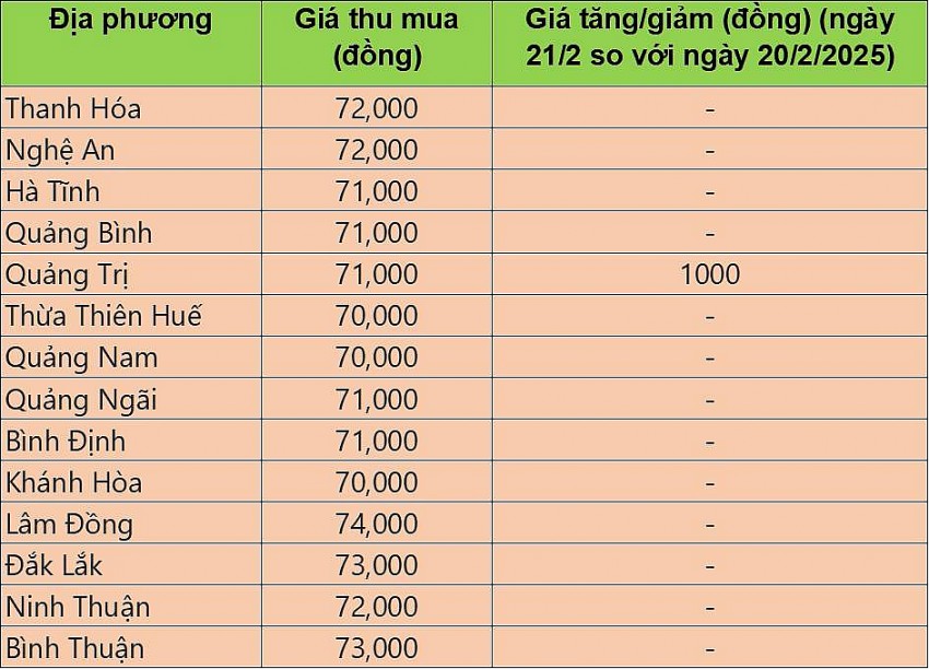 giá heo hơi giá heo hơi