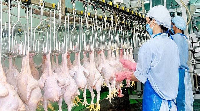 Cuối tháng 2/2025, SFA sẽ thực hiện đánh giá trực tuyến một số nhà máy của Việt Nam để hoàn thành quá trình thẩm định theo quy định của Singapore.