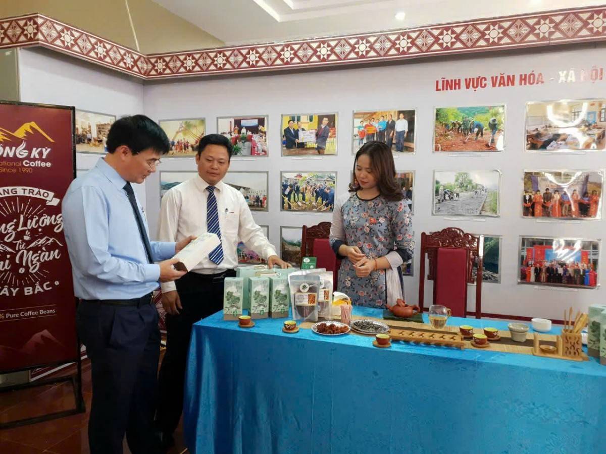 Điện Biên: Nâng tầm sản phẩm OCOP từ cây chè cổ thụ ở Tủa Chùa