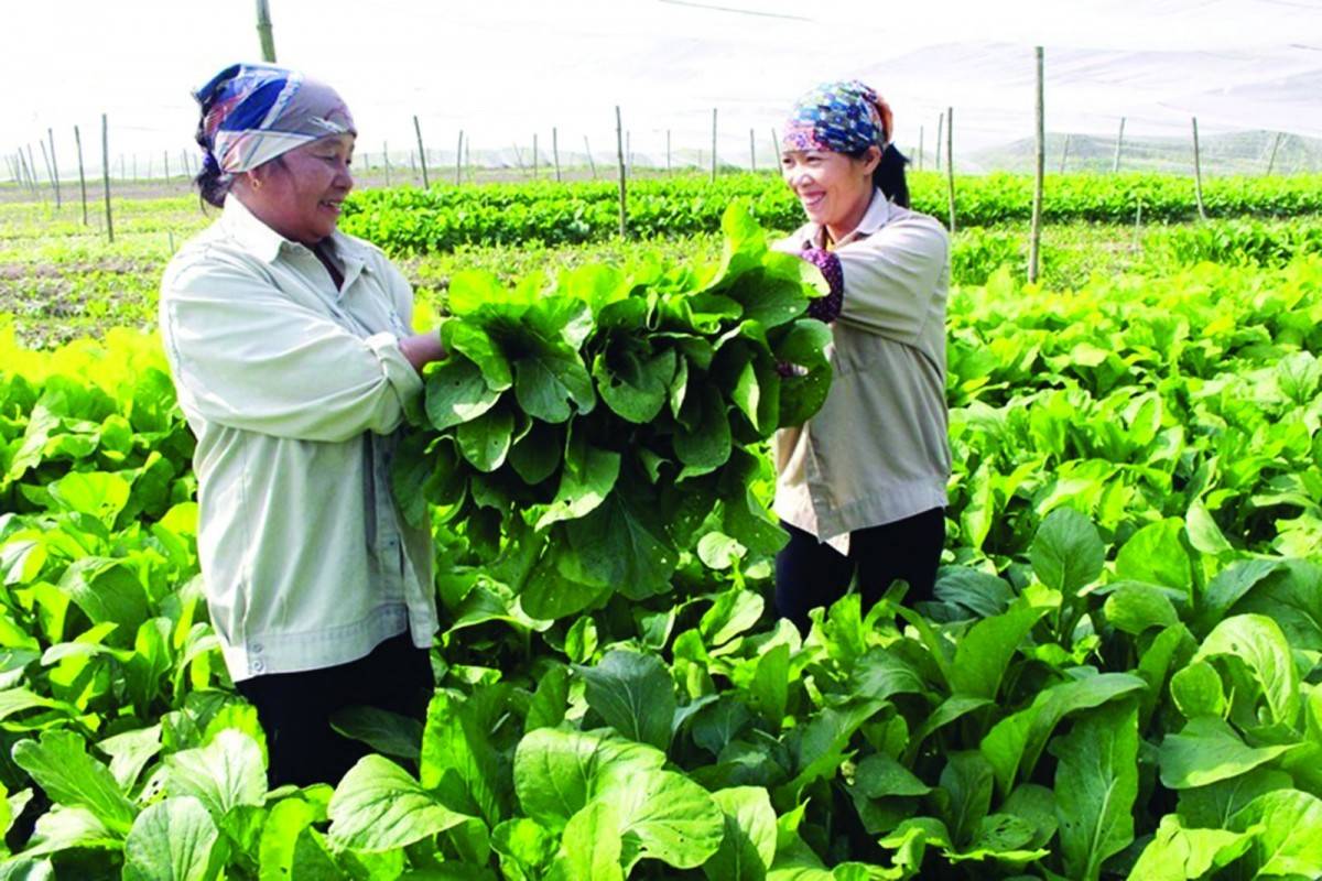 Vĩnh Phúc đặt mục tiêu tăng trưởng kinh tế 10 – 11% năm 2025