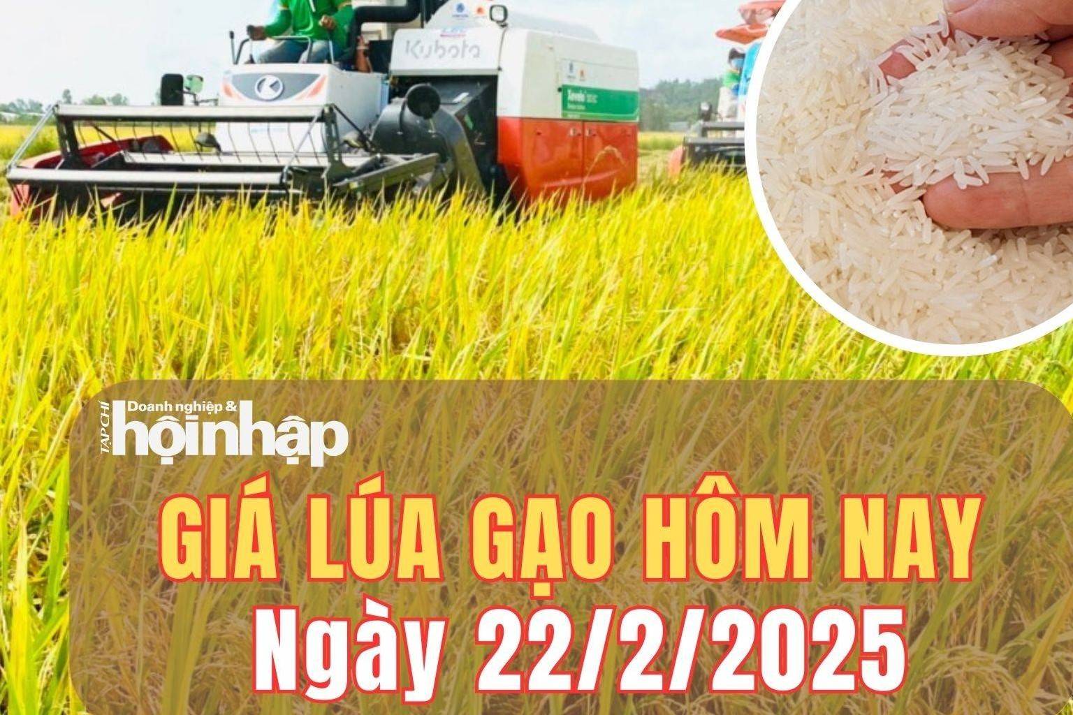 Giá lúa gạo hôm nay 22/2/2025: Giá gạo tăng 100 đồng/kg, gạo xuất khẩu giảm