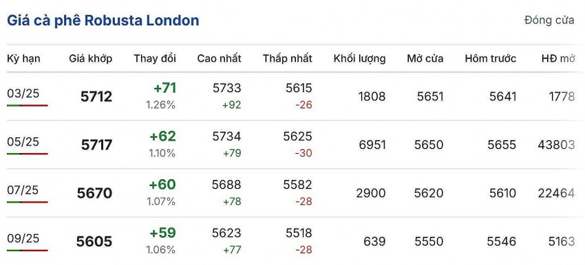 Giá cà phê hôm nay 22/2/2025: Phiên cuối tuần, giá cà phê trong nước quay đầu giảm 1.200 - 1.300 đồng/kg Giá cà phê hôm nay 22/2/2025: Phiên cuối tuần, giá cà phê trong nước quay đầu giảm 1.200 - 1.300 đồng/kg