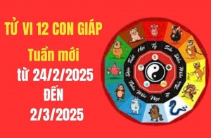 Tử vi tuần mới 12 con giáp từ 24/2 – 2/3/2025 sẽ cung cấp cho bạn những dự đoán chi tiết về tài chính, công việc, sức khỏe và tình cảm