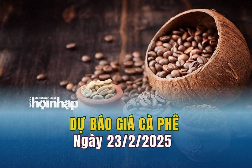 Dự báo giá cà phê 23/2: Giá cà phê trong nước đảo chiều tăng mạnh