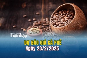 Dự báo giá cà phê 23/2: Giá cà phê trong nước đảo chiều tăng mạnh