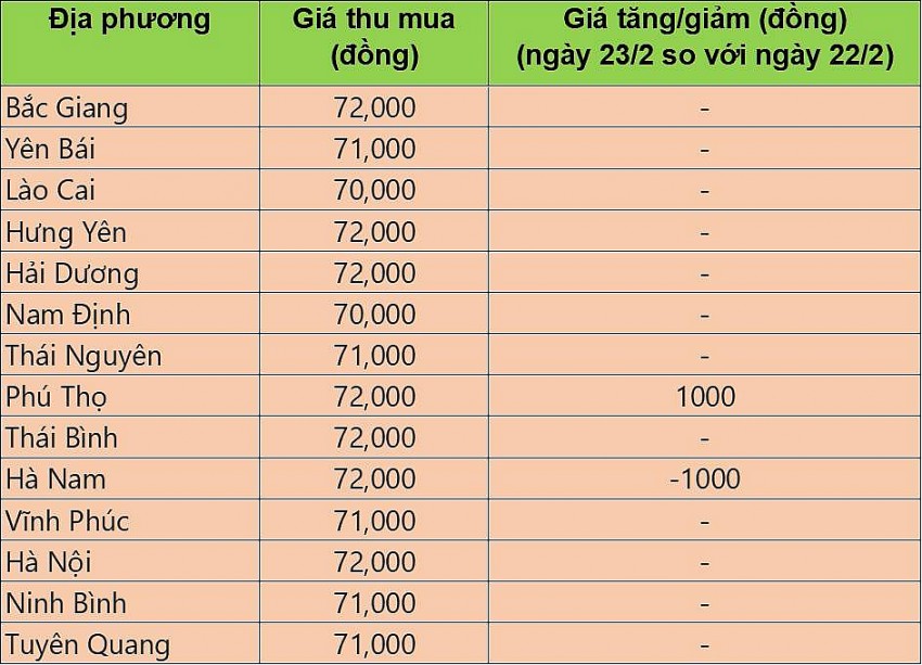 giá heo hơi giá heo hơi