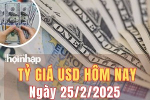 Tỷ giá USD hôm nay 25/2/2025: Đồng USD trở lại đà tăng nhẹ