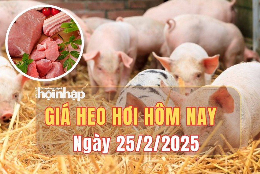 giá heo hơi