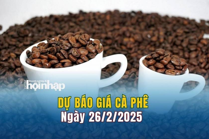 Dự báo giá cà phê 26/2: Giá cà phê trong nước tiếp đà giảm mạnh