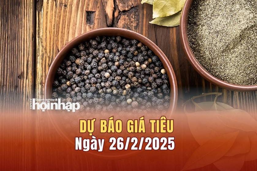 Dự báo giá tiêu 26/2: Giá tiêu trong nước tiếp tục giảm mạnh