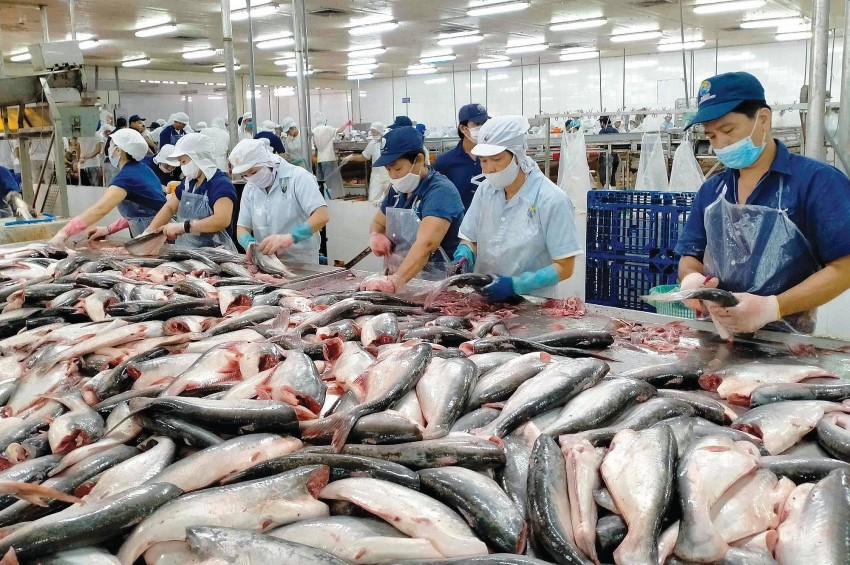 Tăng thị phần cho doanh nghiệp xuất khẩu thủy sản Việt