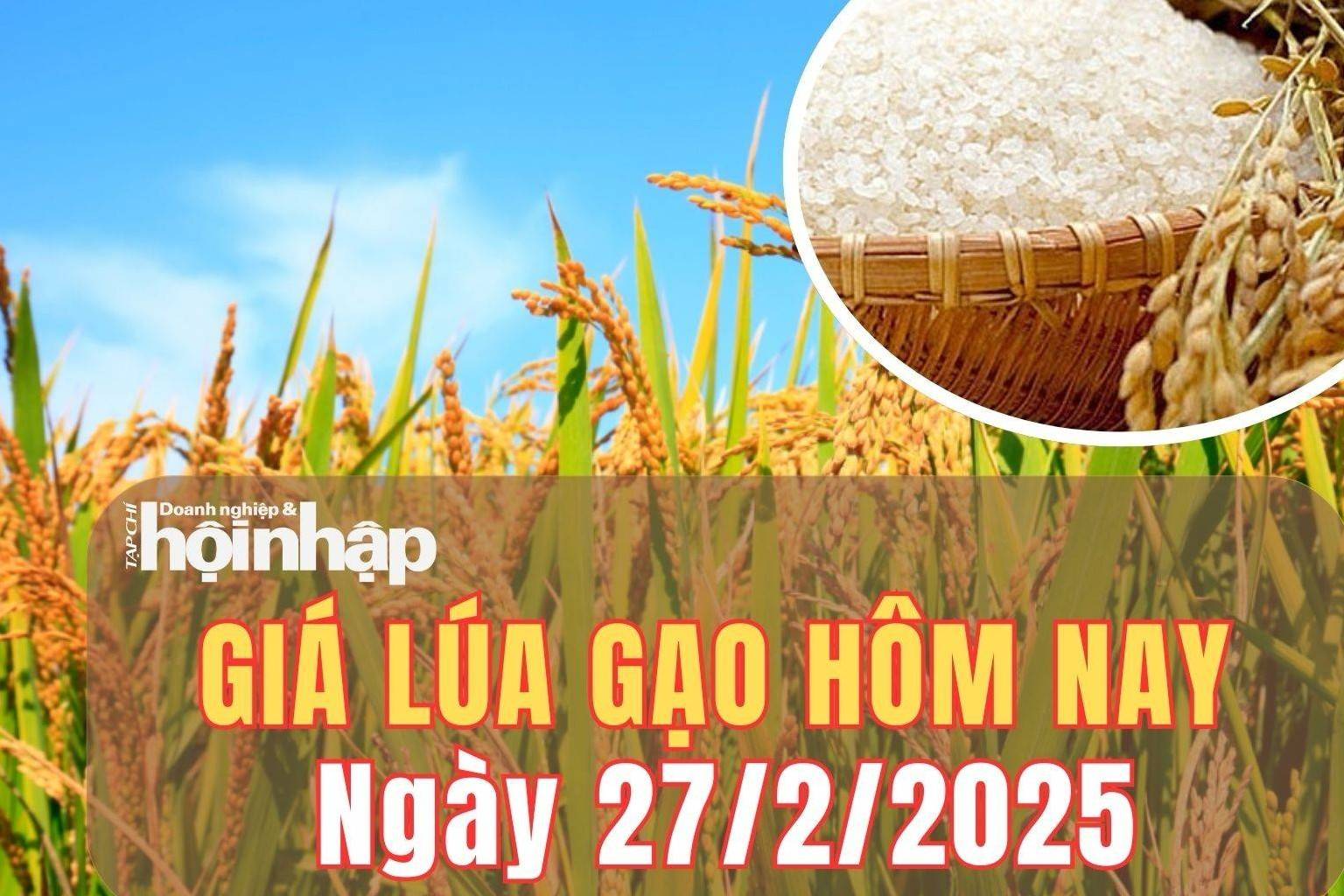 Giá lúa gạo hôm nay 27/2/2025: Giá gạo giảm nhẹ, giá lúa biến động trái chiều