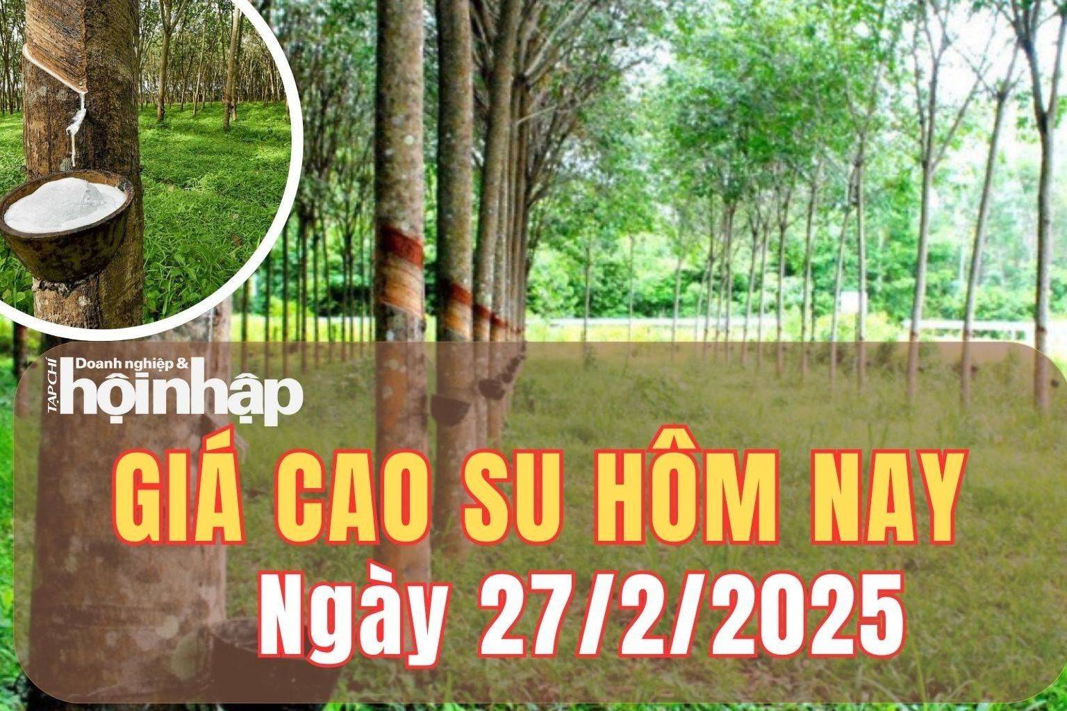 Giá cao su hôm nay 27/2/2025: Giá cao su trên sàn SHFE đảo chiều giảm mạnh từ 205 - 315 NDT/tấn