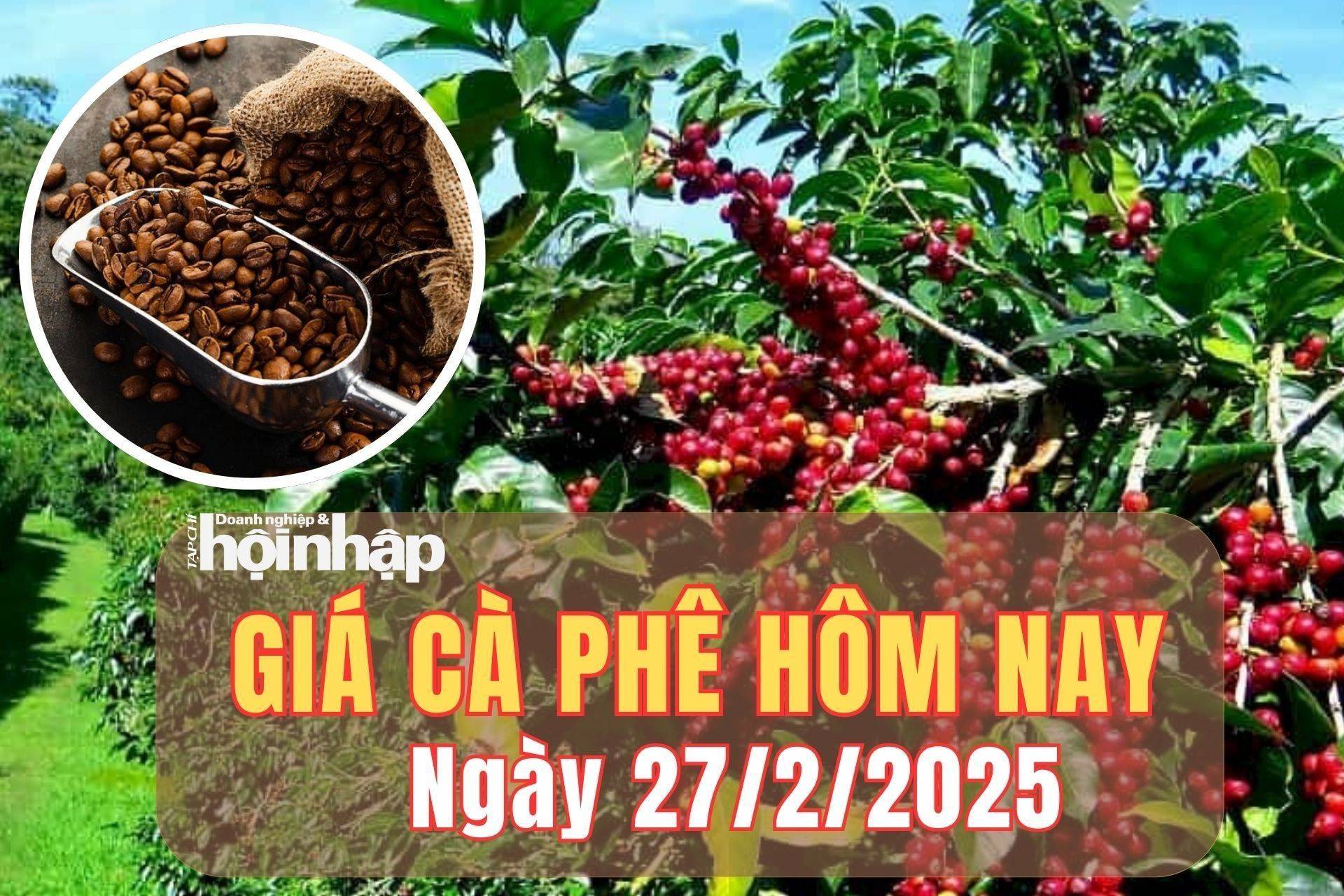 Giá cà phê hôm nay 27/2/2025: Phiên thứ 3 liên tiếp, giá cà phê trong nước giảm mạnh 2.500 đồng/kg