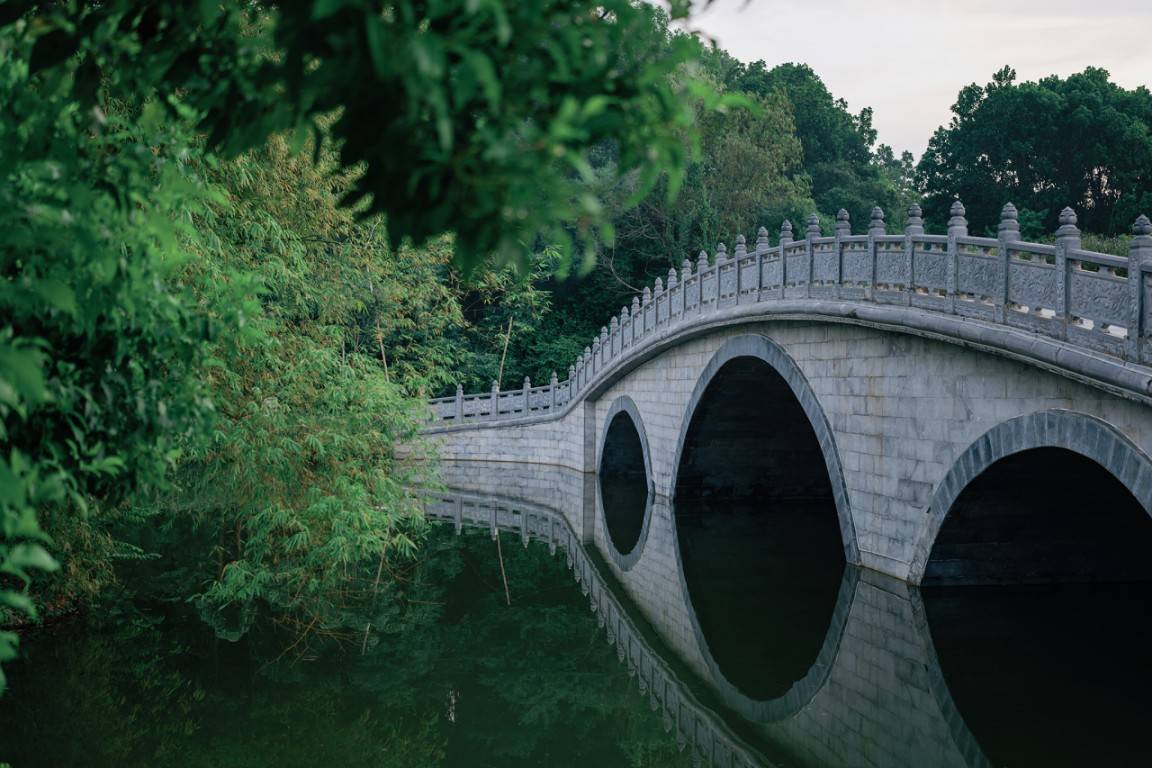 Cầu Thế Kỷ - Biểu tượng cho sự kết nối 