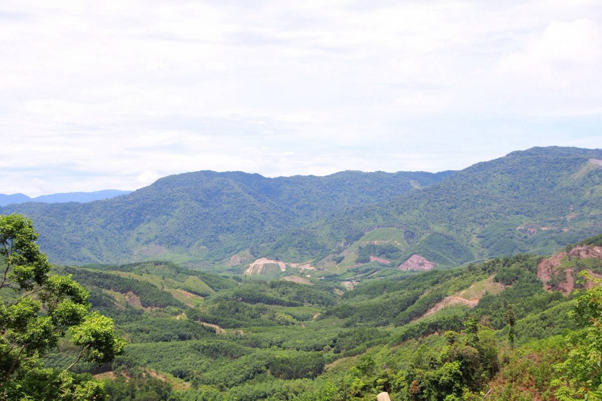 Sau cam kết Net Zero, doanh nghiệp chuyển mình ra sao trên con đường xanh hóa?