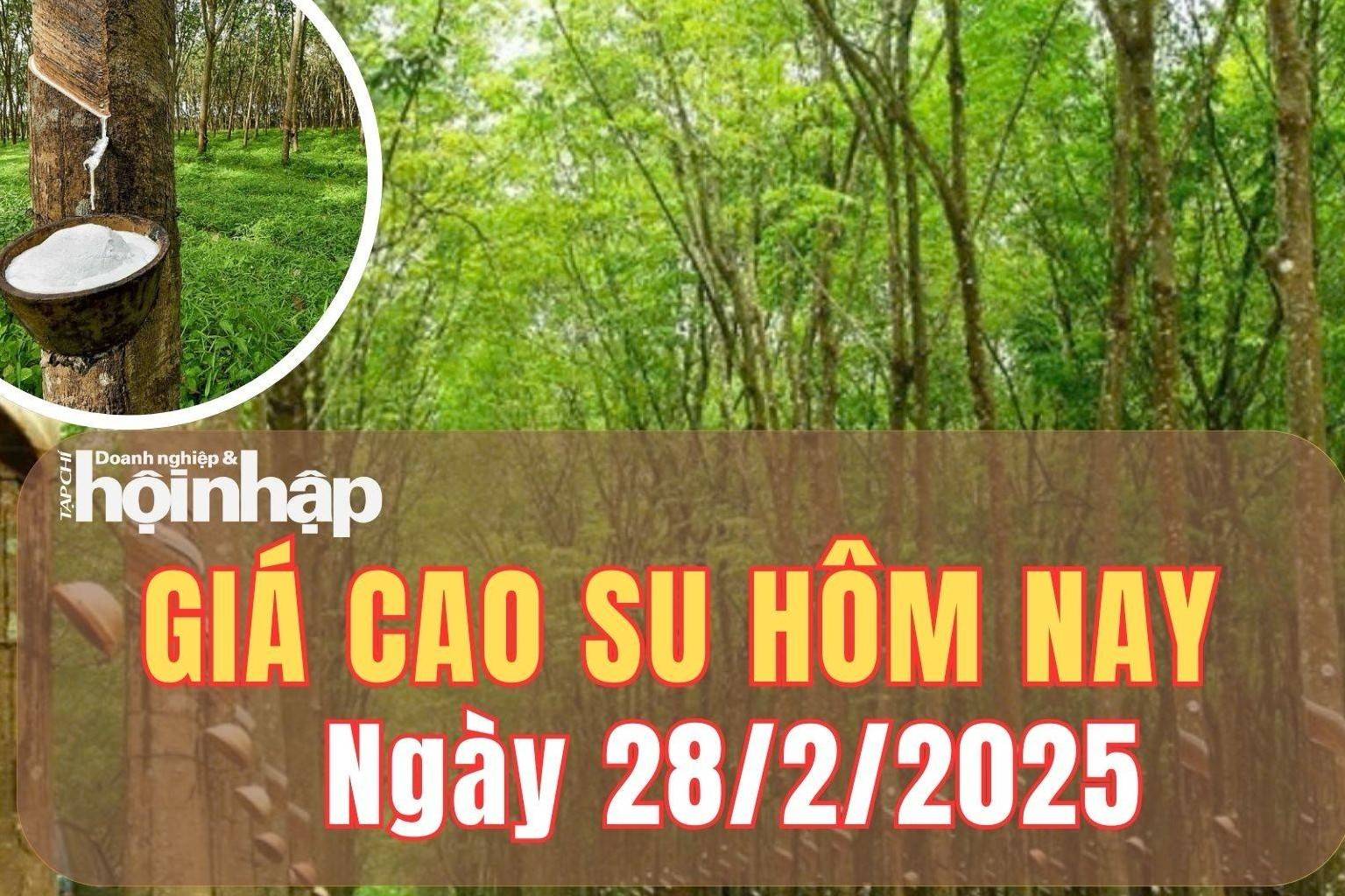 Giá cao su hôm nay 28/2/2025: Giá cao su thế giới đảo chiều tăng nhẹ