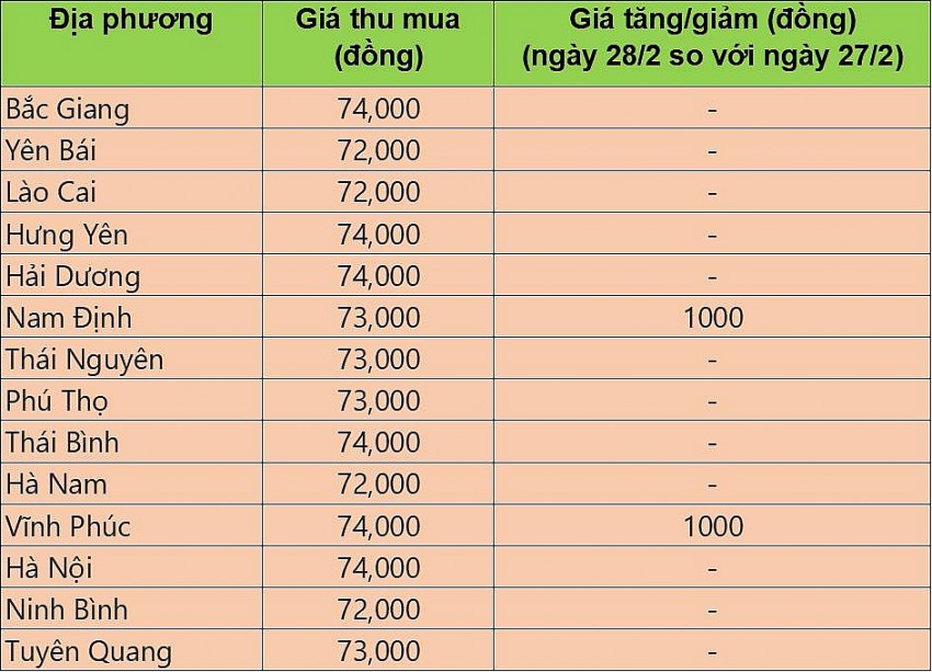 giá heo hơi giá heo hơi