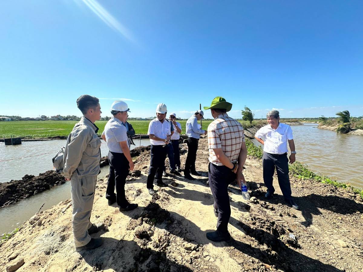 Đóng điện hàng loạt công trình lưới điện điện 110kV tại các tỉnh phía Nam Đóng điện hàng loạt công trình lưới điện điện 110kV tại các tỉnh phía Nam