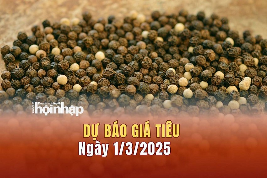 Dự báo giá tiêu 1/3/2025
